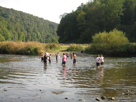 IMG 2019
